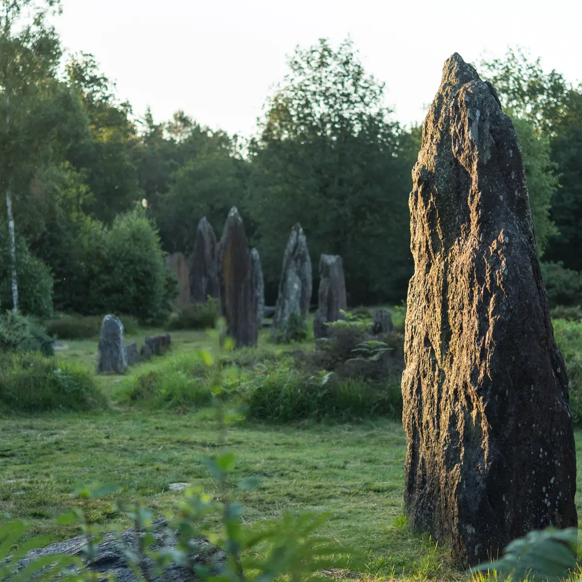 Menhirs de Monteneuf