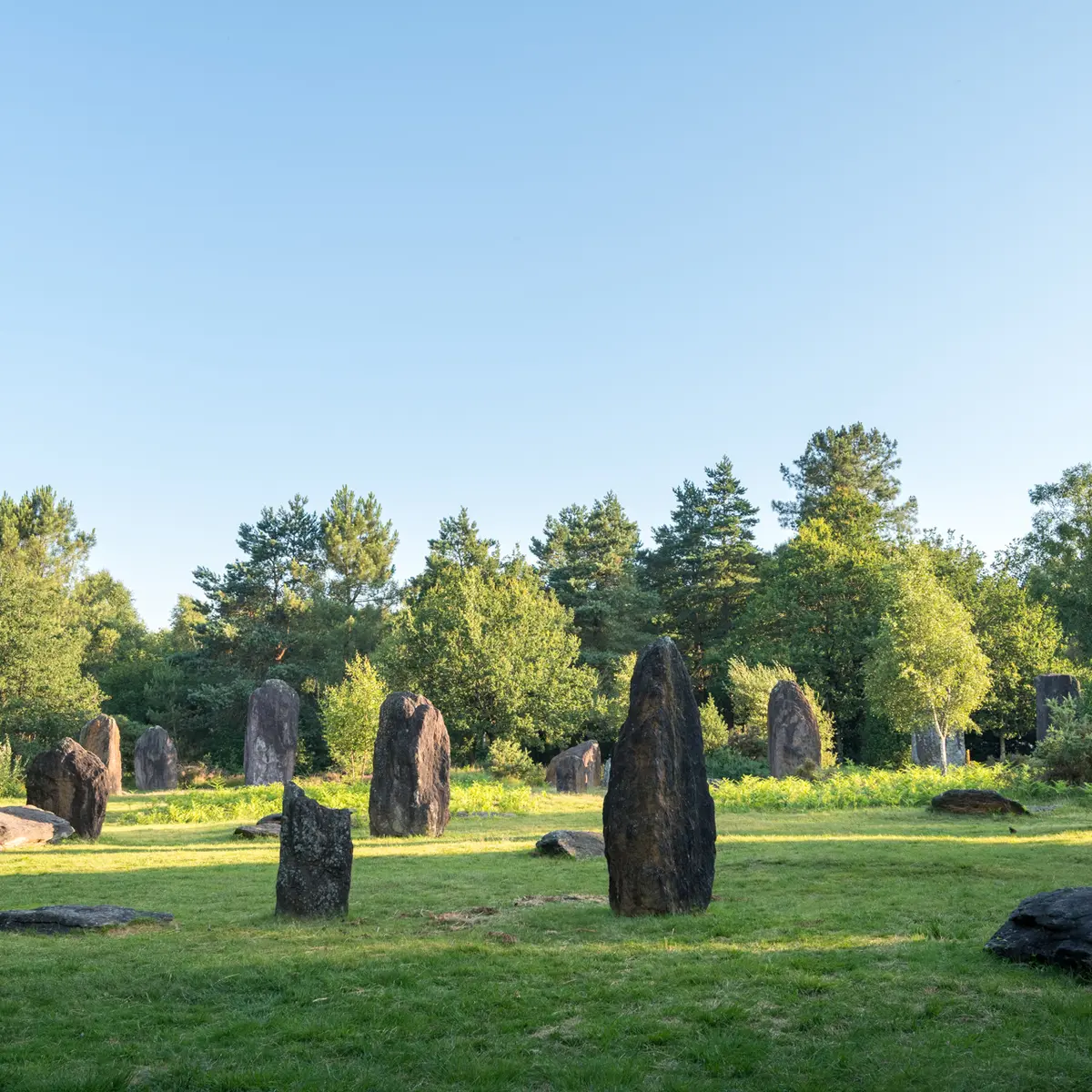 Menhirs de Monteneuf