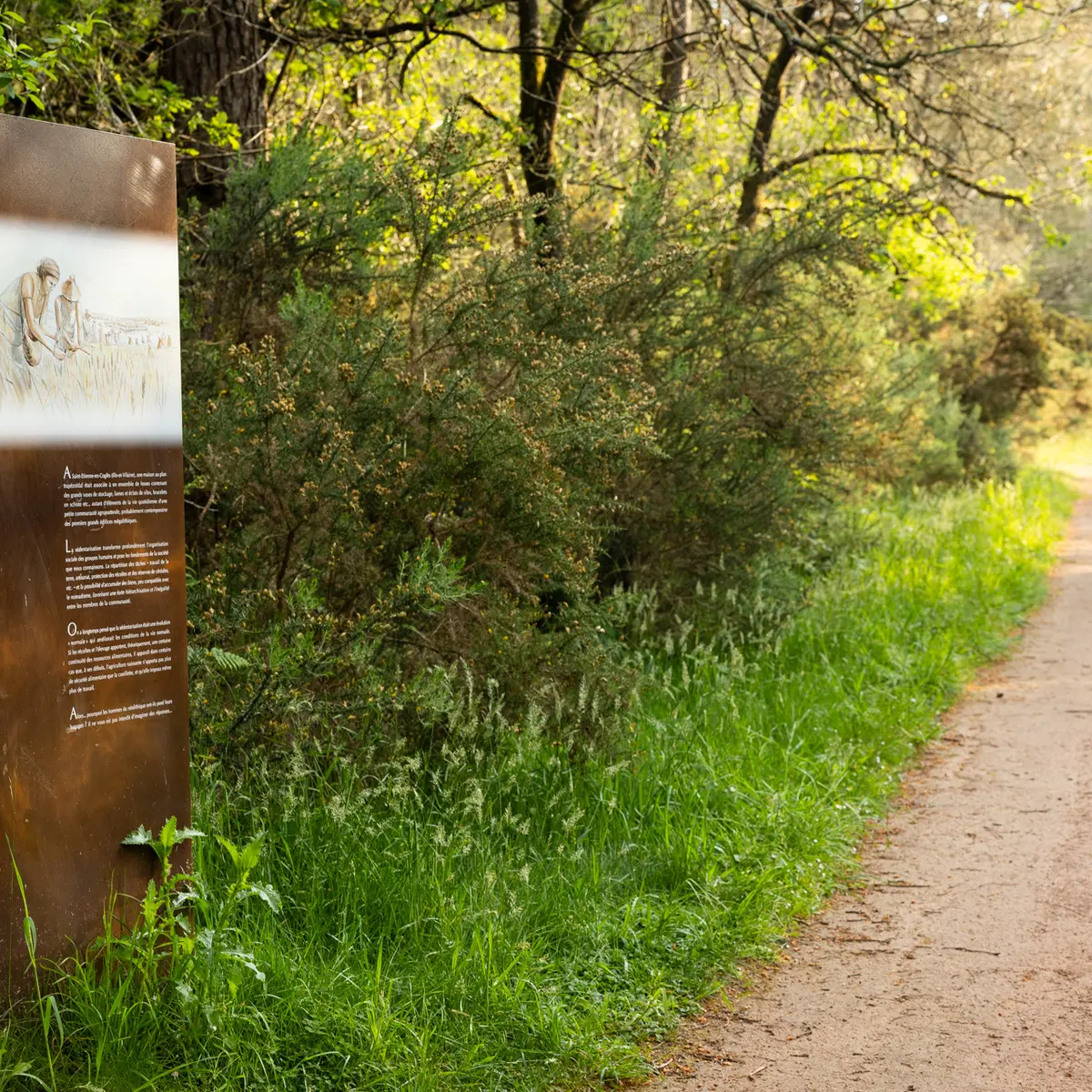 Menhirs de Monteneuf