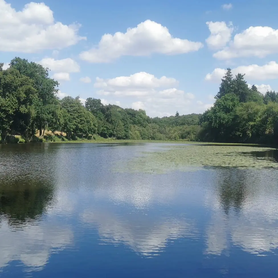 Moulin Neuf à Argentré du Plessis
