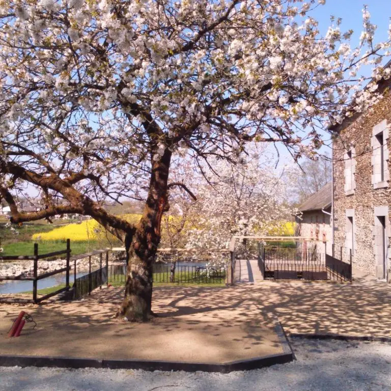 Moulin de Bretigneul Saint-Aubin-des-Landes