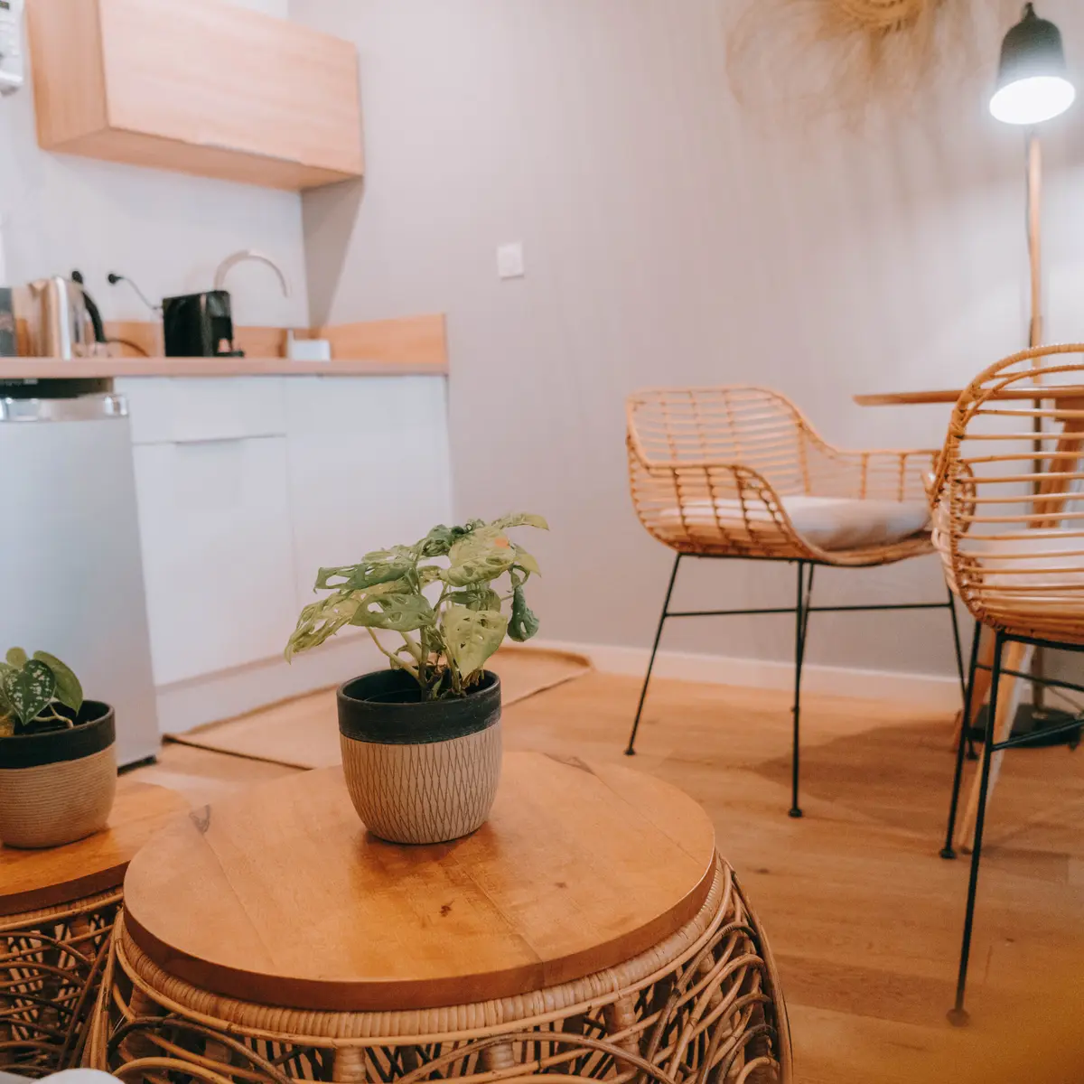 Vue d'ensemble appart 18