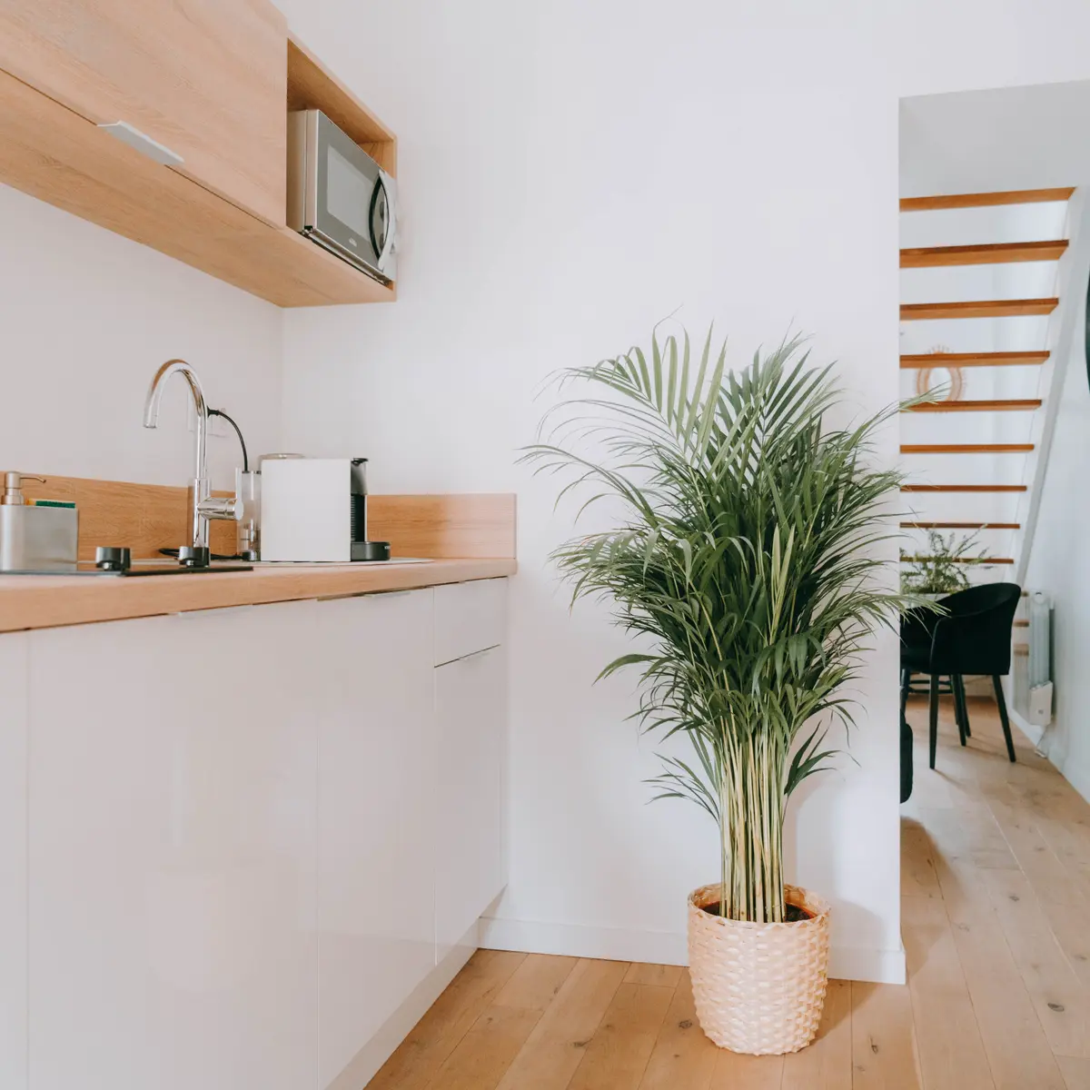 Vue espace kitchenette appartement 16 Duhamel