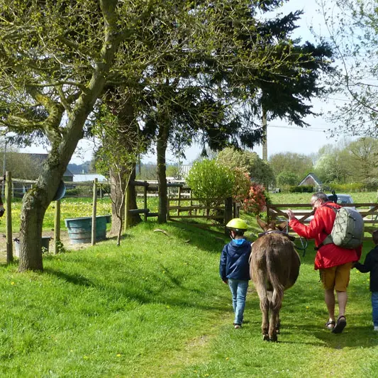Les Ânes de Min Guen