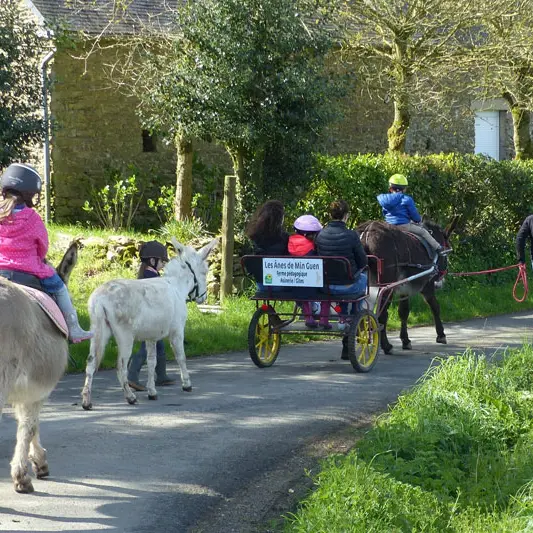 Les Ânes de Min Guen