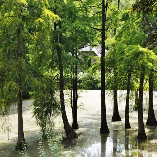 Château de Bonnfontaine à Antrain