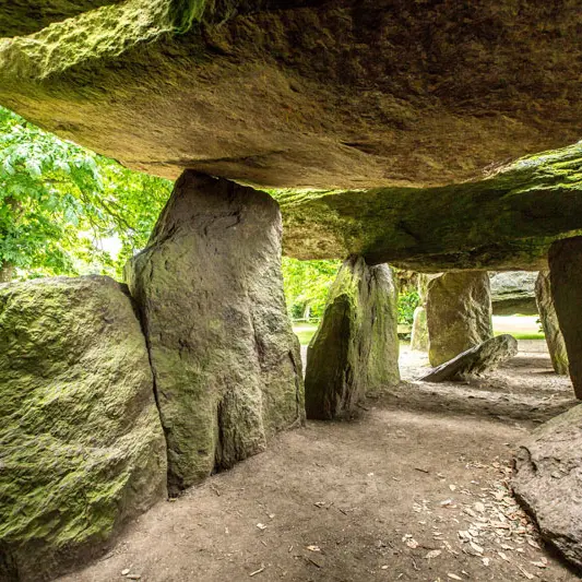 Maison de la Roche aux Fées à Essé