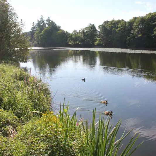 Etang du Moulin aux Moines