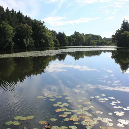 Etang du Moulin aux Moines