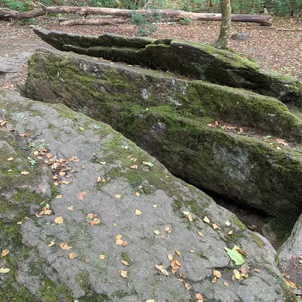 tombeau du géant - site légendaire - brocéliande - Morbihan