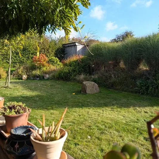 L'assiette dans le jardin
