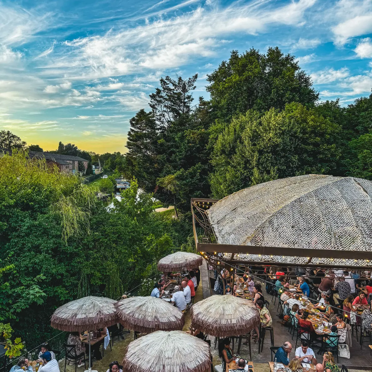 Photo Georgette - vue d'ensemble verticale