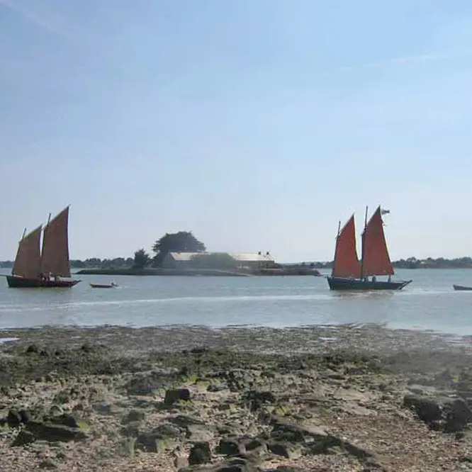 Photo-3-®-OT-VANNES-Sene-passagemontsarracgaelle