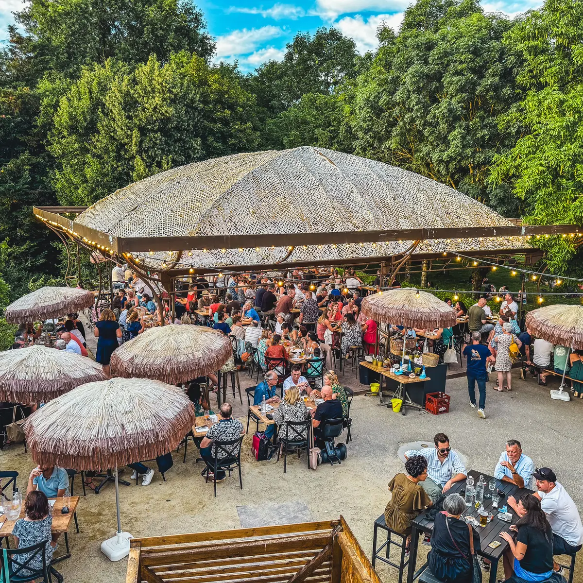 Georgette - vue d'ensemble