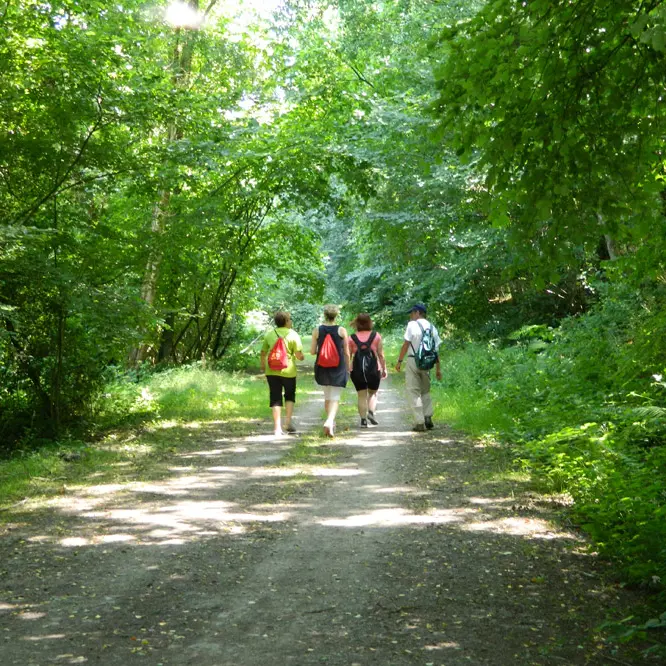 Photo-couverture_©OT-Pontivy-Communauté_Circuit-Vallées-Plurit-et-Resto