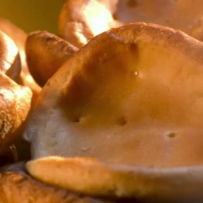 Les Craquelins de Saint-Malo