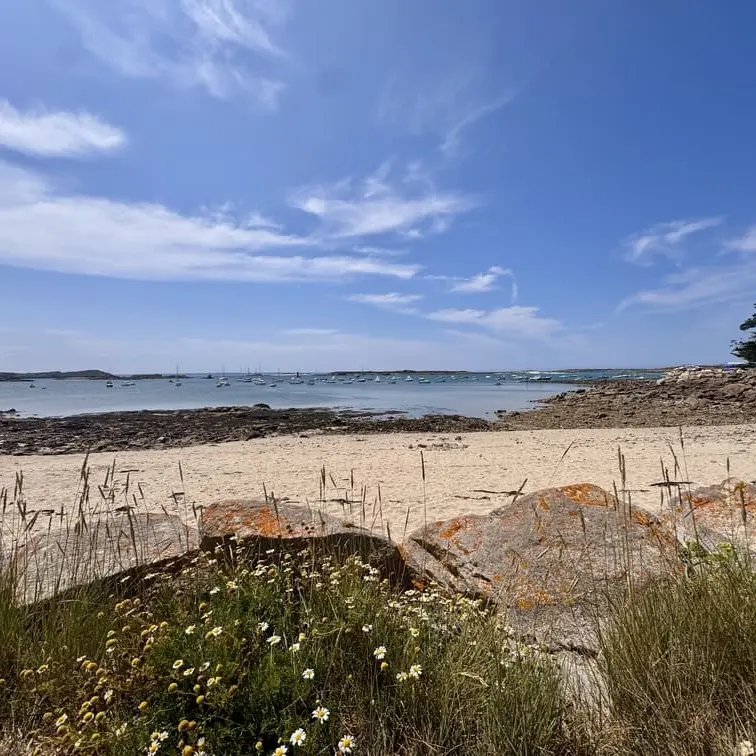 Plage des Dames - Port Saint-Sauveur - Ile-Grande - Pleumeur-Bodou