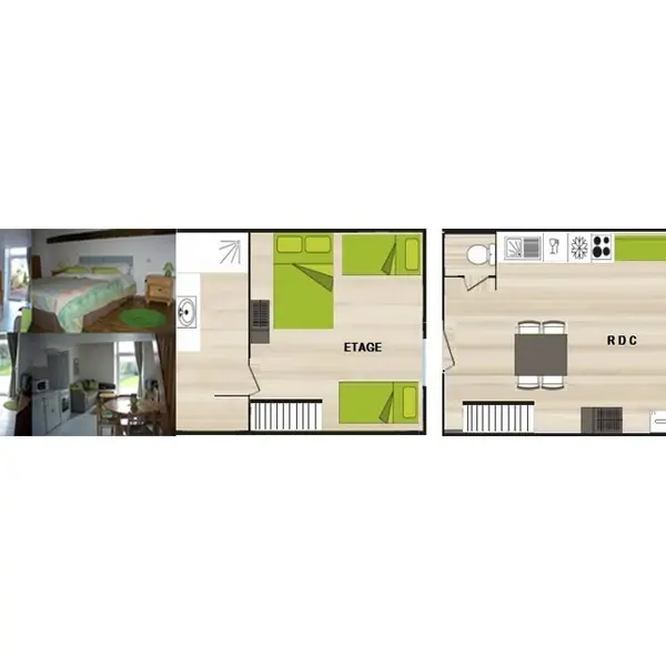 Plan-chataigniers Saint Martin Sur Oust