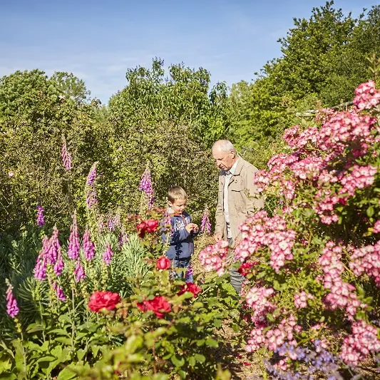 Plantes_Jardin de Keroguic Baud Vallée du Blavet©A. Lamoureux