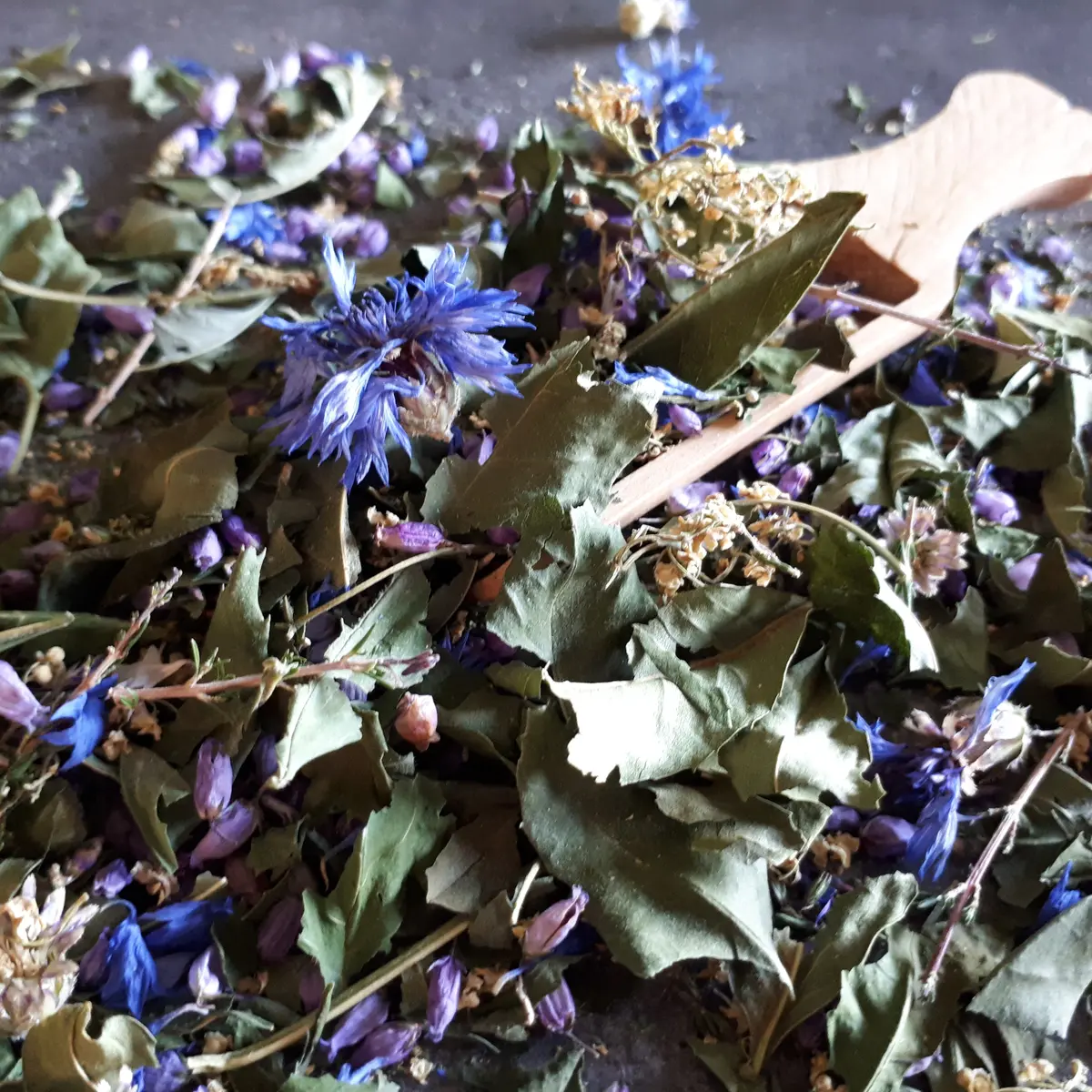 Plantes et fée bénéfique Elixir D. Tox' (4)