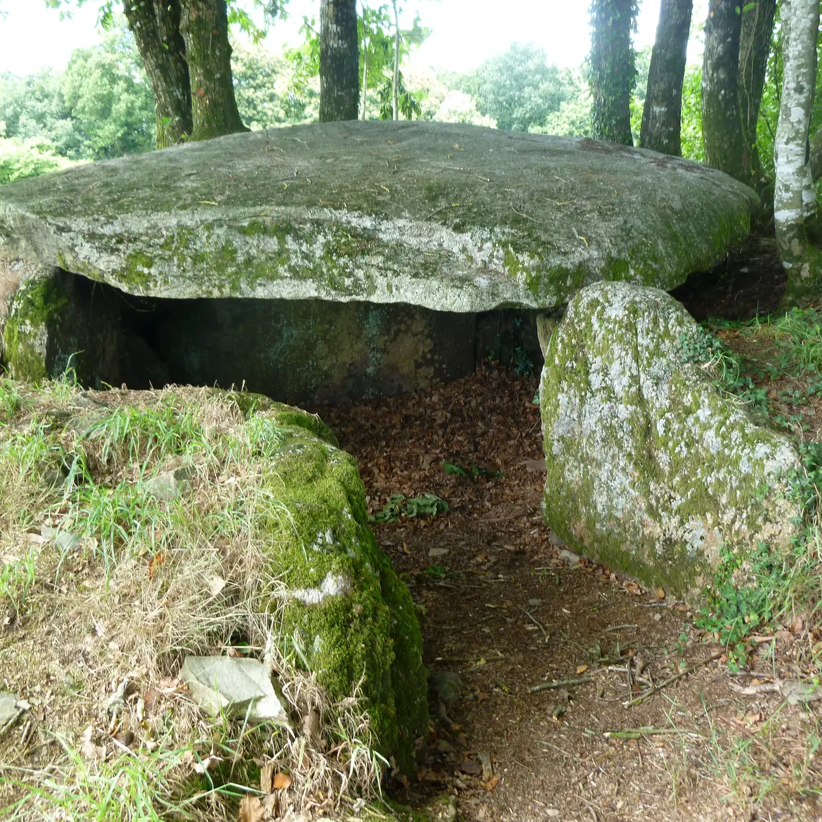 Plumelec Milgourdy©OT CMC