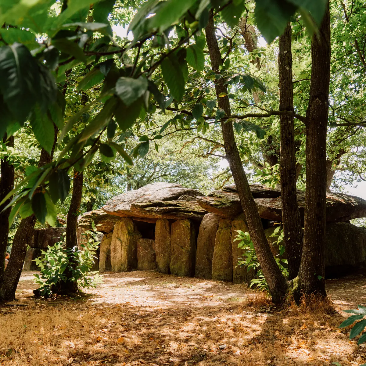 RAF - Crédit Noé Photographie
