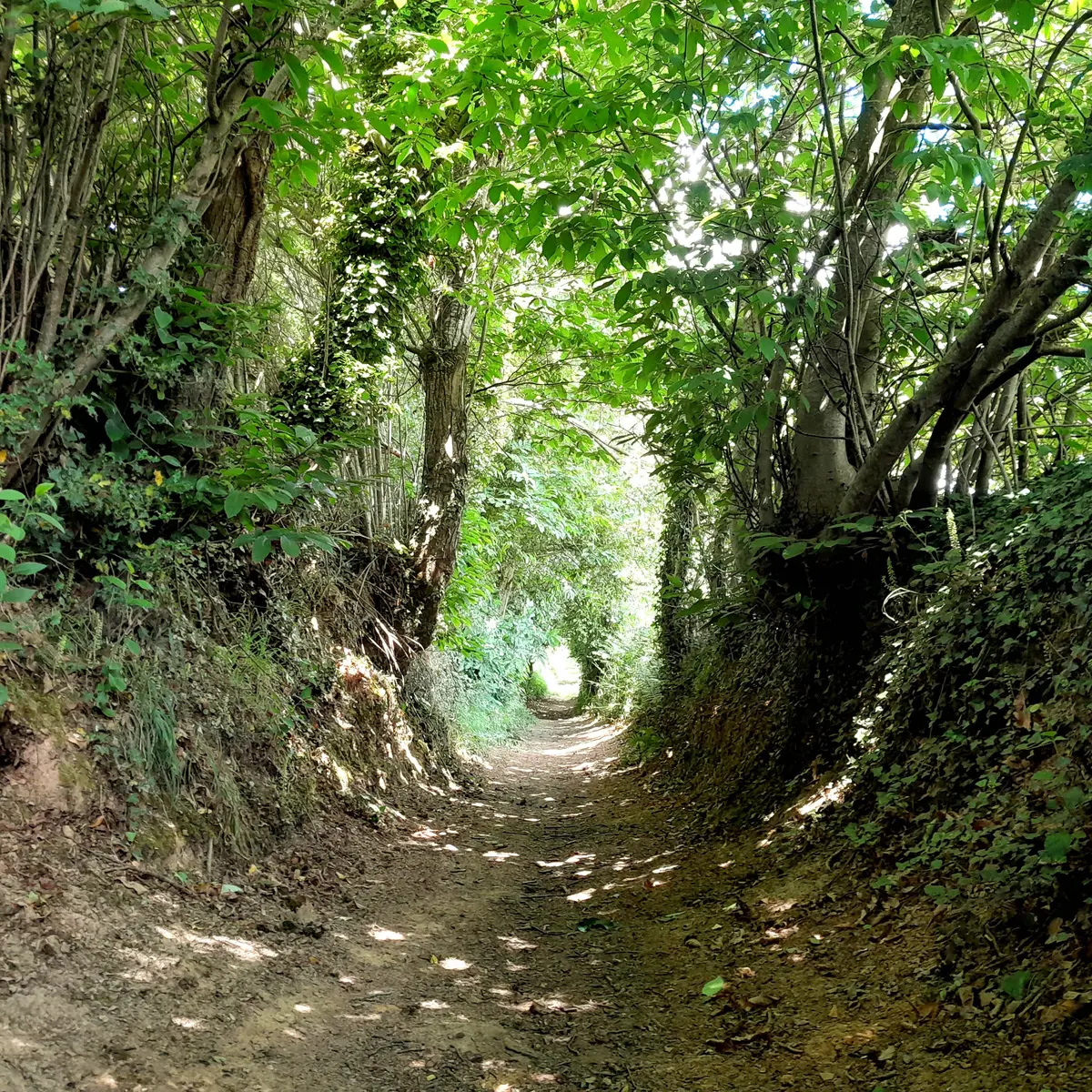 Circuit trail n° 5  Saint-Gonlay