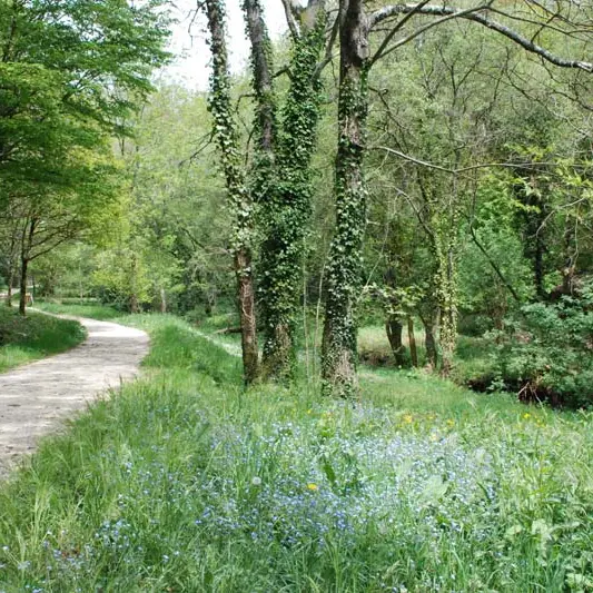 Sentier de Ropenard