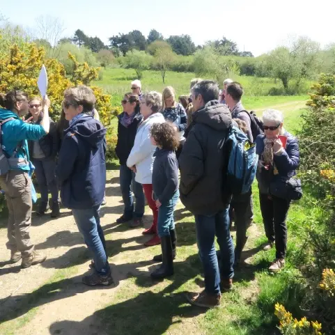 Sortie nature-Escale Bretagne Saint-Lunaire