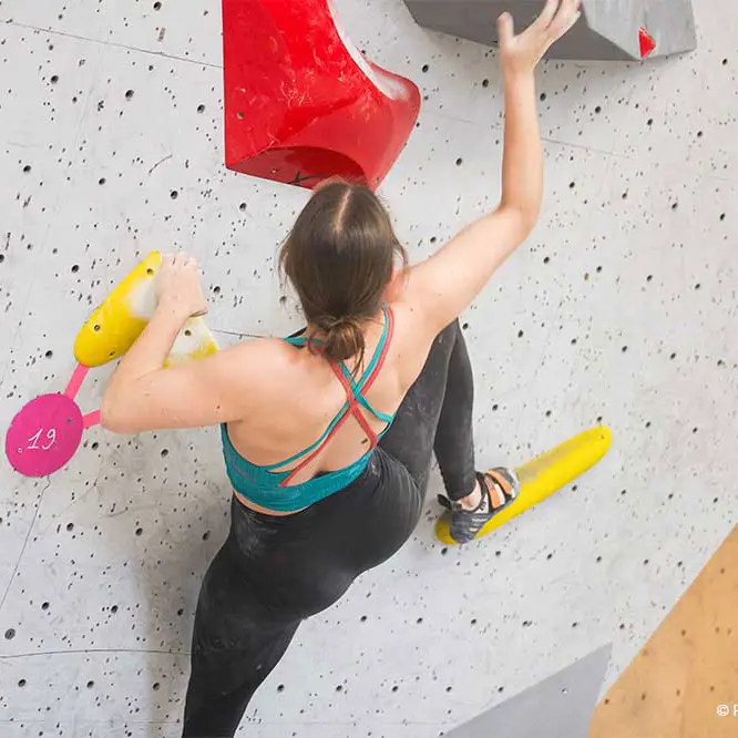 The Roof Rennes - Maison de l'escalade
