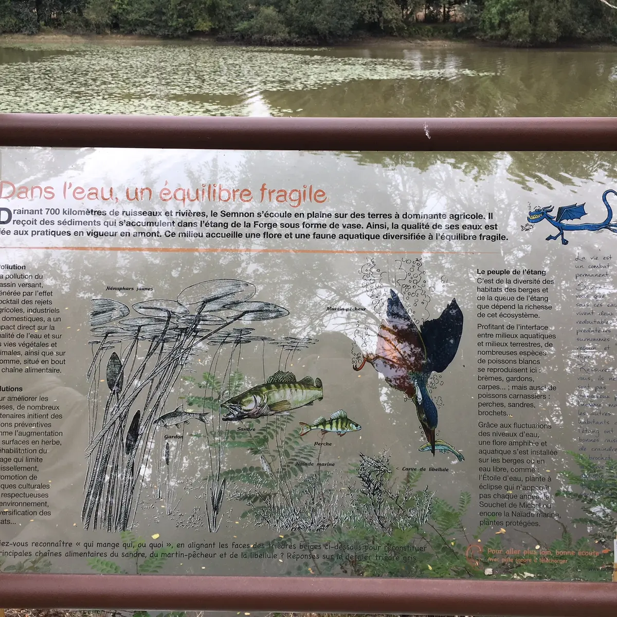 Tourisme_Martigné_sentierinterprétation6©RocheaauxFéesCommunauté