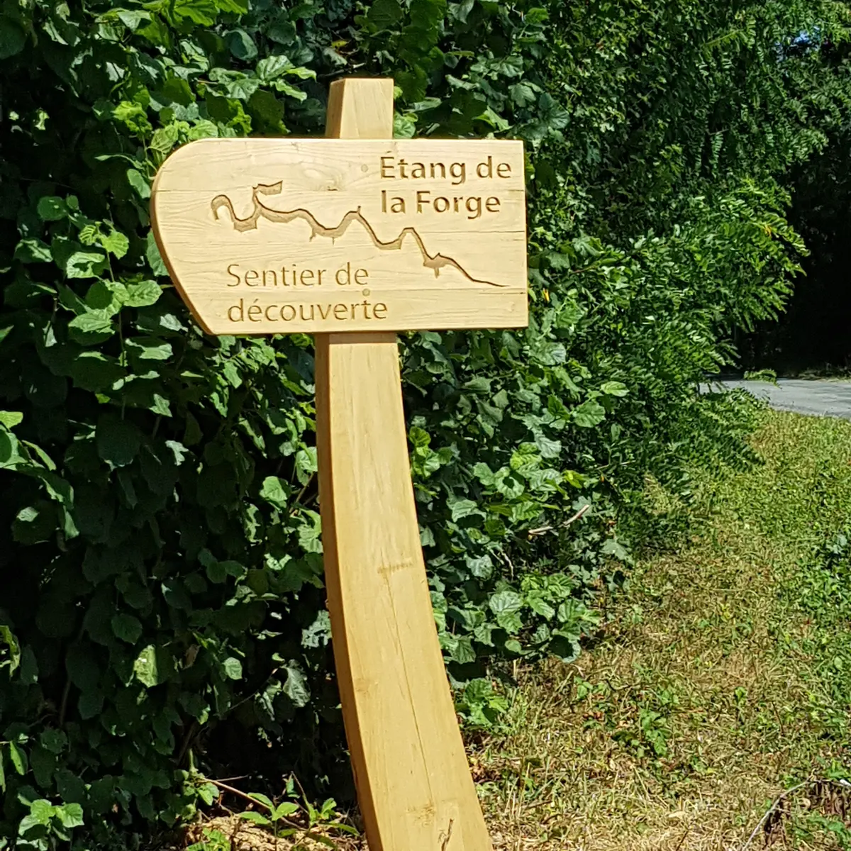 Tourisme_Martigné_sentierinterprétation-flêchedirectionelle©RocheaauxFéesCommunauté