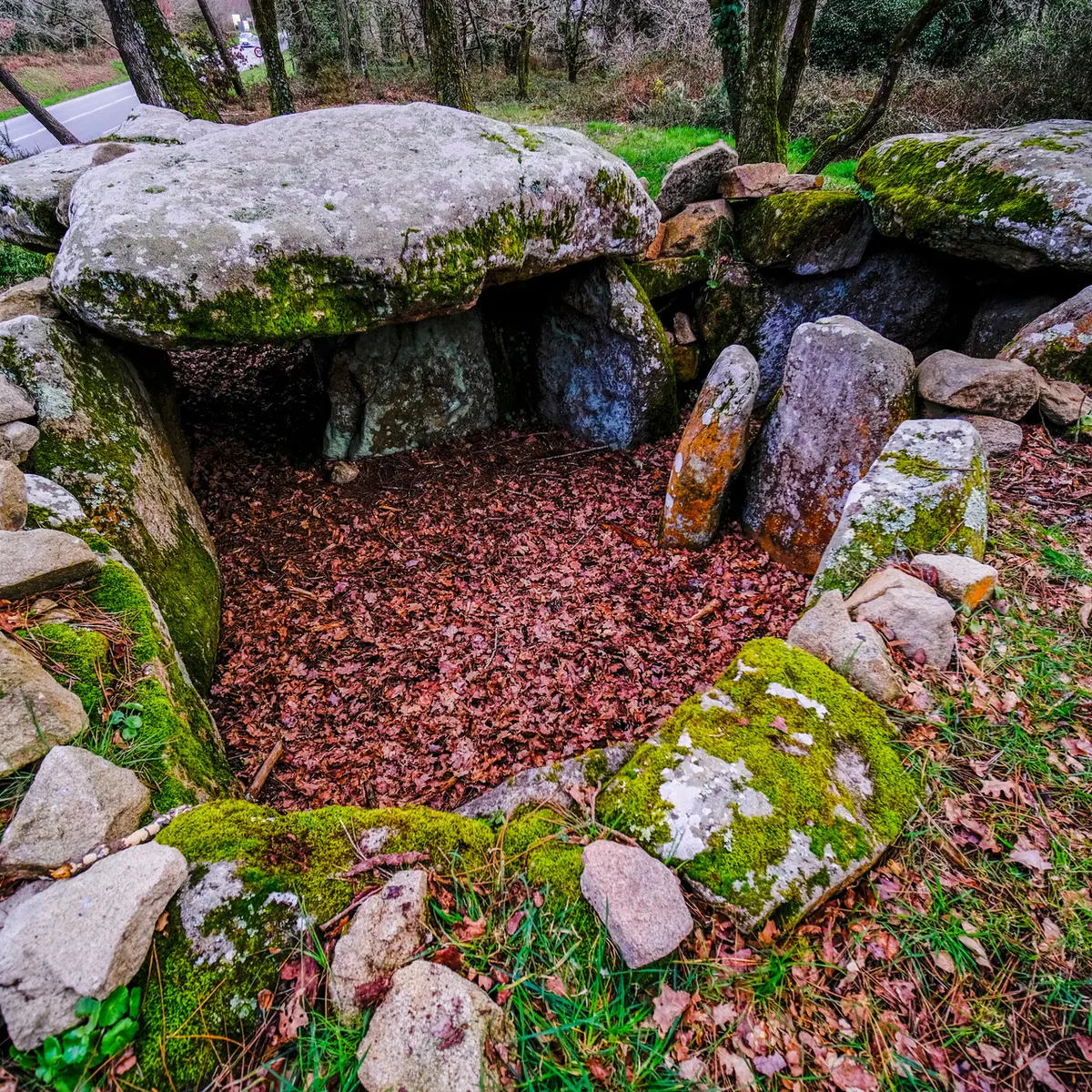 Tumulus Kermarquer - Zulaan - André Polkowski 2022 - 001.jpg_compressed