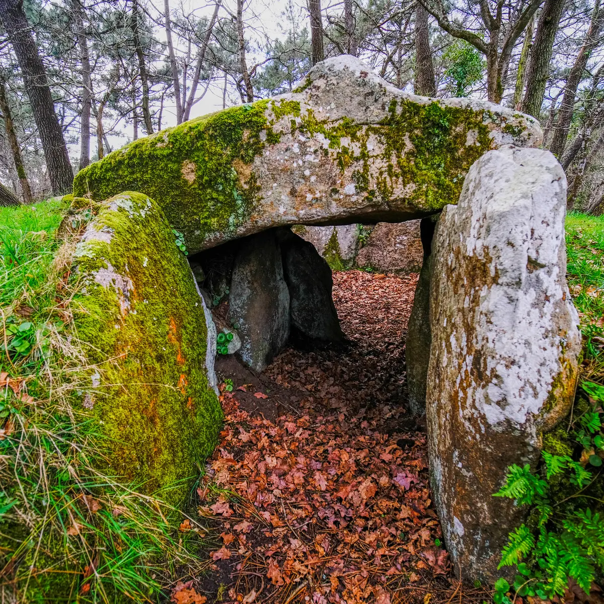 Tumulus Kermarquer - Zulaan - André Polkowski 2022 - 003.jpg_compressed