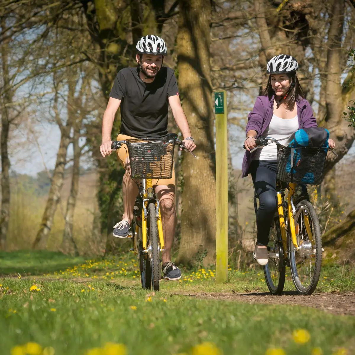 Velo_electrique Broceliande
