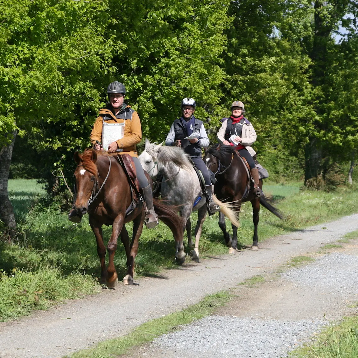 randonnée à cheval