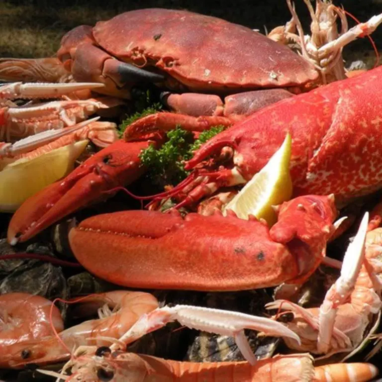 Chez Jaouen - Saint-Philibert - Morbihan Bretagne Sud