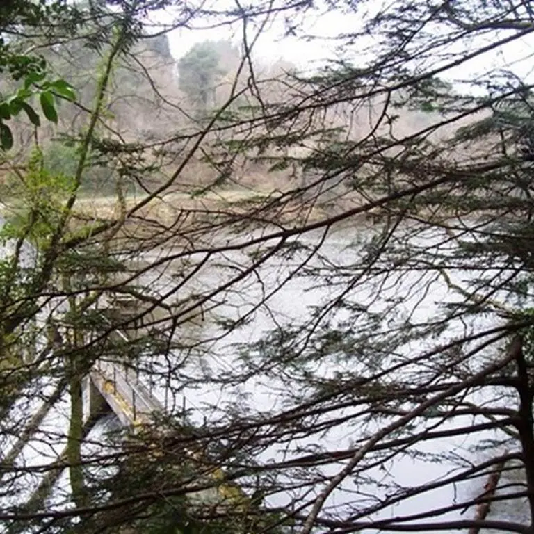 Bois de Pont Sal Plougoumelen Morbihan Bretagne Sud