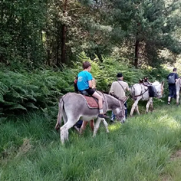 lesbaladesdisane3_randonnée_concoret_DestinationBroceliande