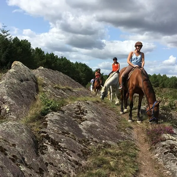 Chevaux_de_Brocéliande_centre_équestre_Tréhorenteuc