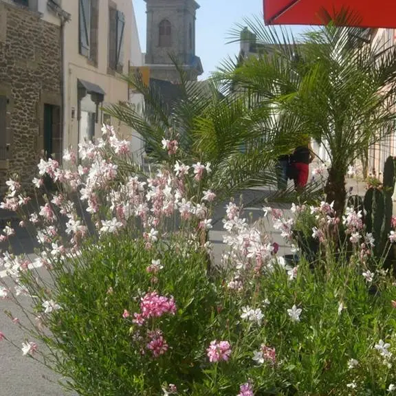 Saint-Gildas-de-Rhuys