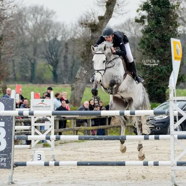 Concours centre équestre de Trémelin