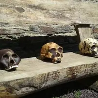 découvrir-l-histoire-de-l-homme-à-la-maison-nature-et-mégalithes-à-saint-just