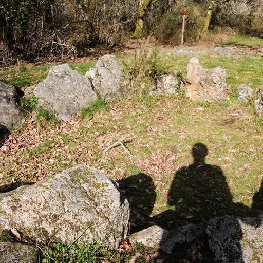 Dolmen de Mané Bogad Ploemel - Morbihan Bretagne sud (1)