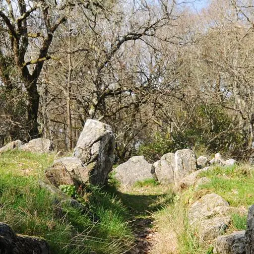 Dolmen de Mané Bogad Ploemel - Morbihan Bretagne sud (2)