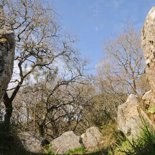 Dolmen de Mané Bogad Ploemel - Morbihan Bretagne sud (3)