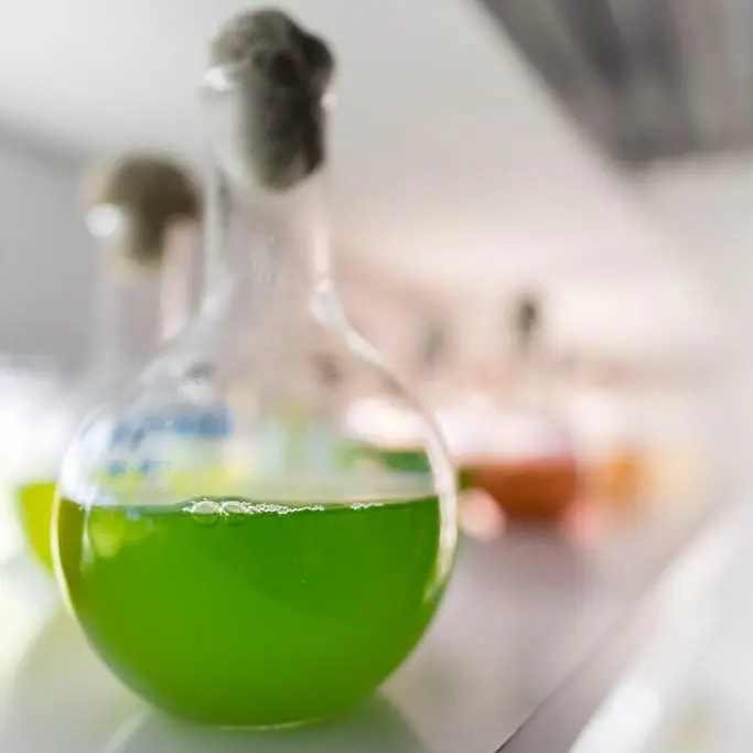 EclosariumIledeHouat3