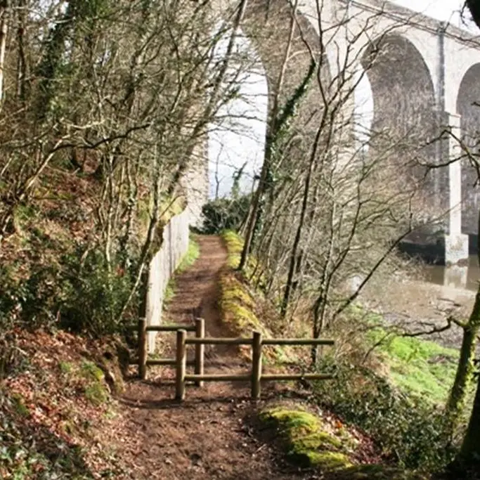 La petite forêt - Auray - Morbihan Bretagne Sud