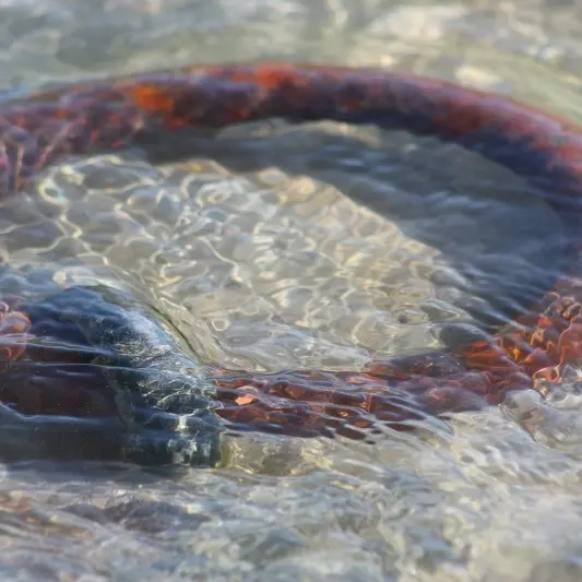 SADEC - Galerie - Saint-Malo