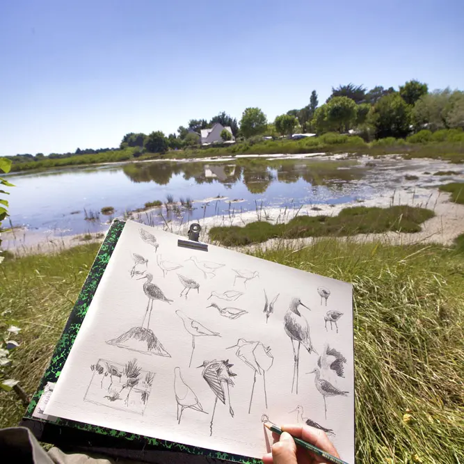 fiche-12_Mesquer-3_tlocquard-2023